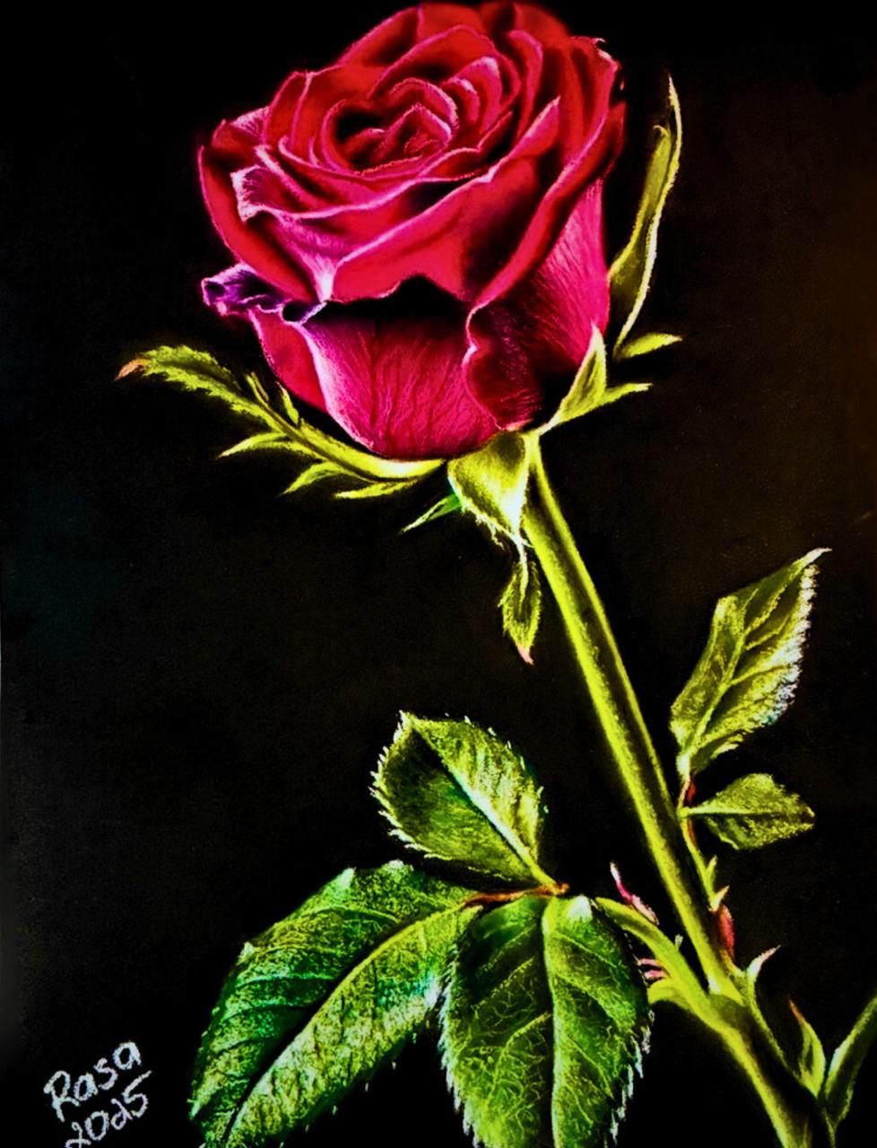 Velvet Reverence